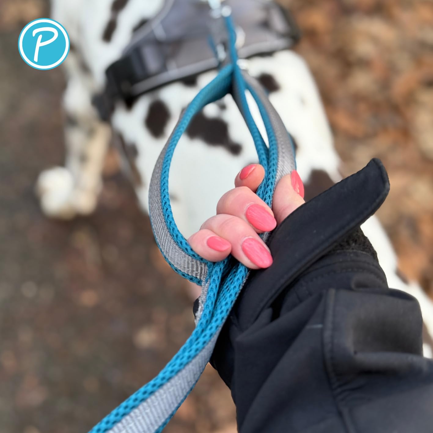 Petlando Hundeleine Outdoor mit Sicherheitsgriff, Petrol, 300x3cm | Für große Hunde, 3-fach verstellbare Führleine, reflektierend, weiche Mesh-Polsterung, starke Karabiner, Umhängeleine