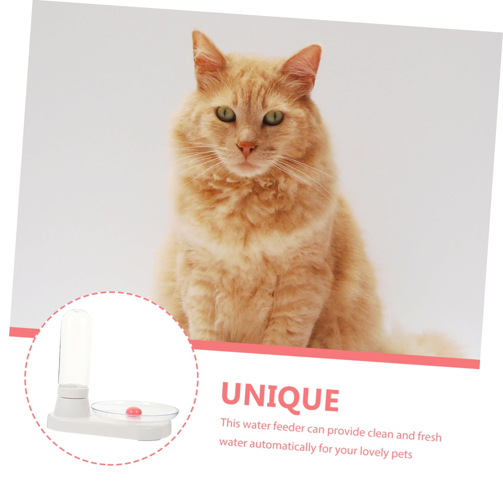 Di Abbeveramento Per Animali Domestici Distributore Automatico Di Acqua Per La Casa