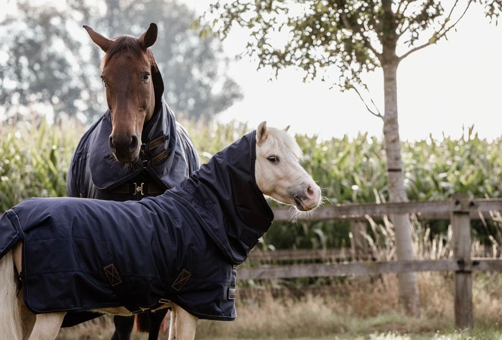 Kentucky Manta Impermeable para Caballos All Weather Pro Tiny 300g