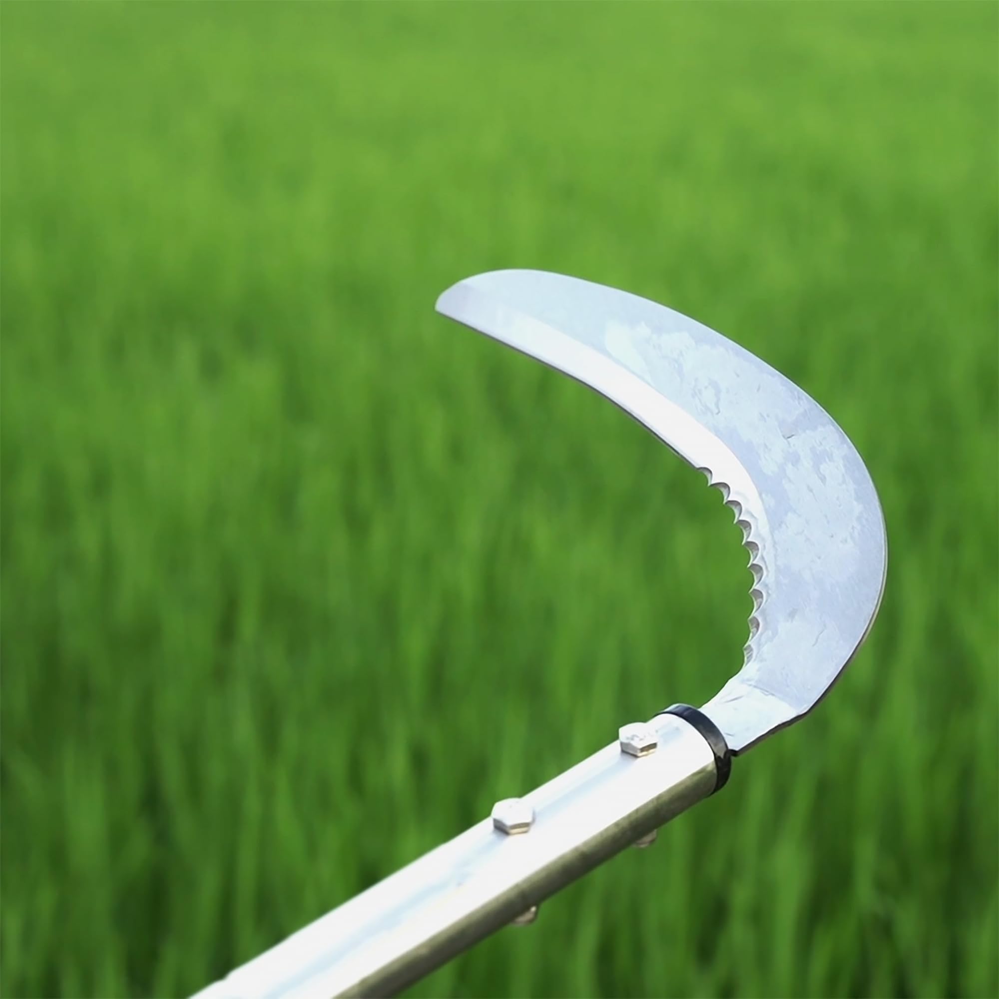 Yeelor Falcetto per Diserbo in Acciaio con Bordo Dentato e Liscio, Manico Regolabile 51 Pollici