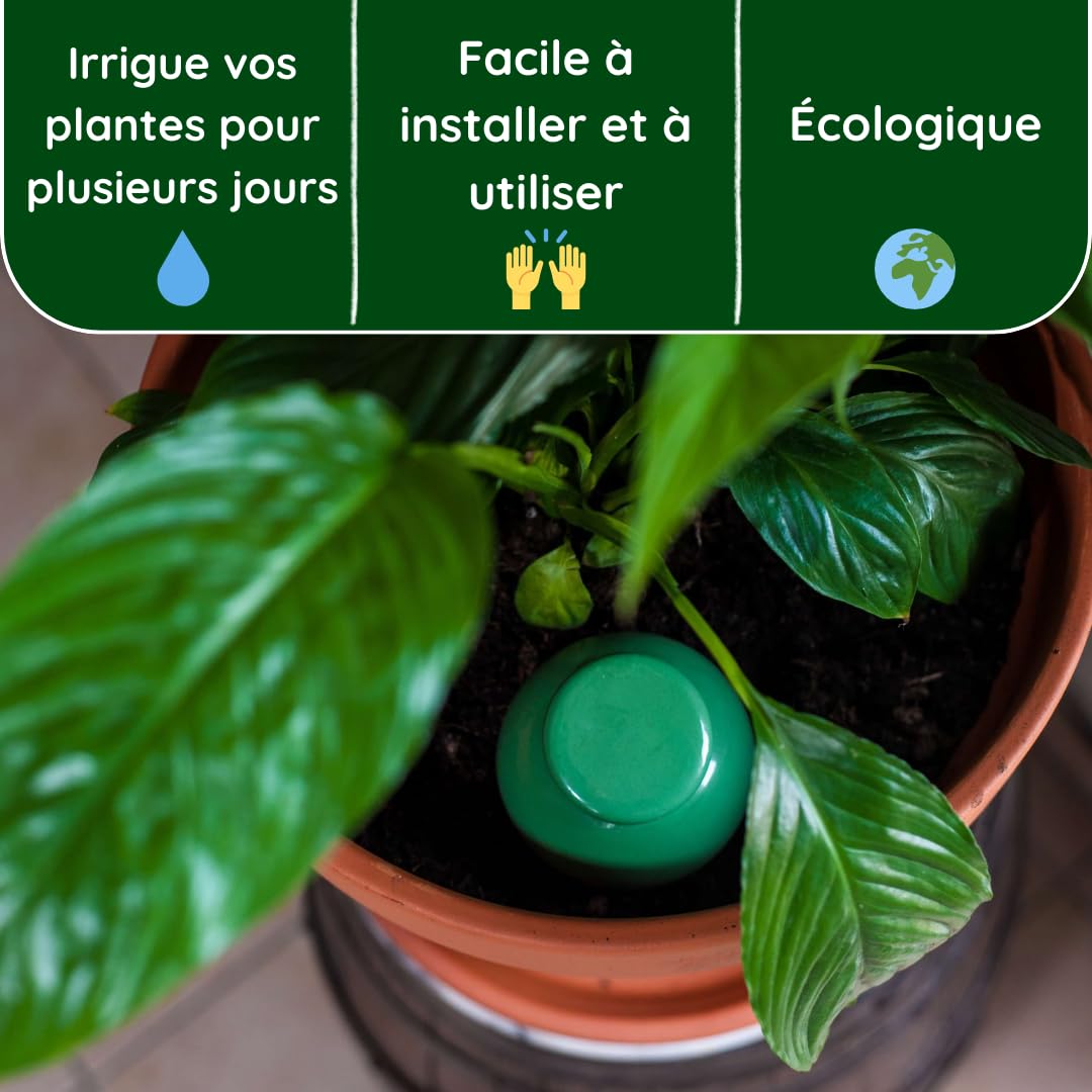 3 Oyas a Planter en Terre Cuite de 300 ML en Couleur - avec Couvercle- Goutte a Goutte pour Plante d'interieur - ollas (Vert)