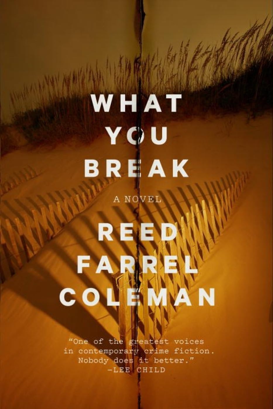 Cover of What You Break (A Gus Murphy Novel)