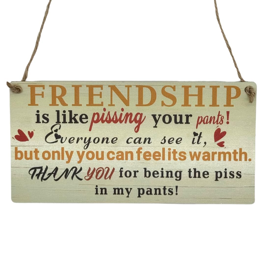 Second Ave Funny Joke Friendship Wooden Hanging Rectangle Home Friend Sign Plaque