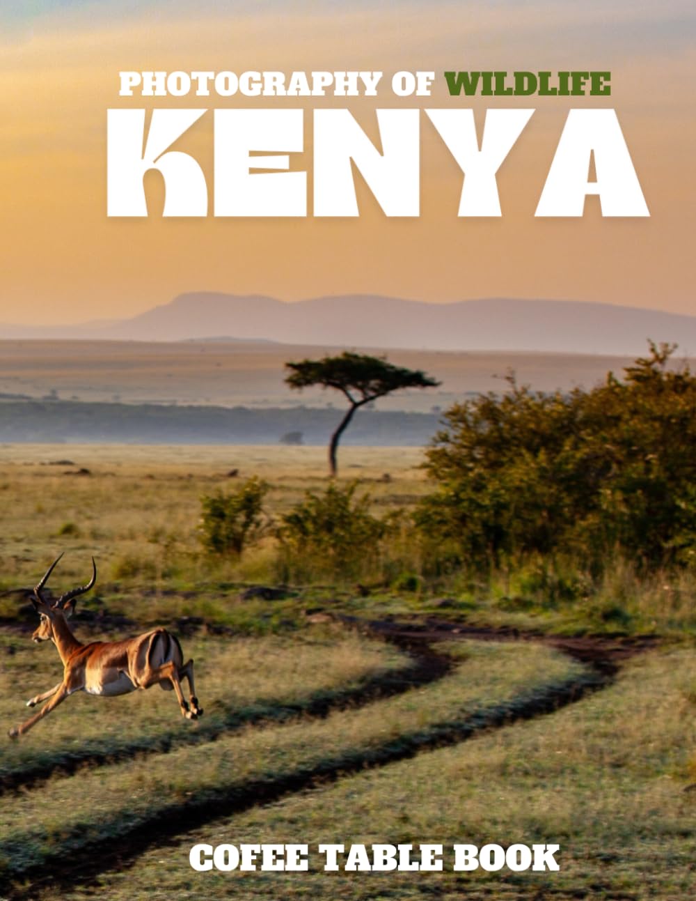 KENYA PHOTOGRAPHY OF WILDLIFE: 40 wonderful collection of photos and amazing views which take you to a world of beauty and wonder in kenya country, cofee table book.