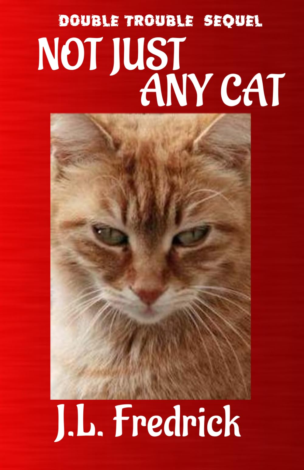 Not Just Any Cat