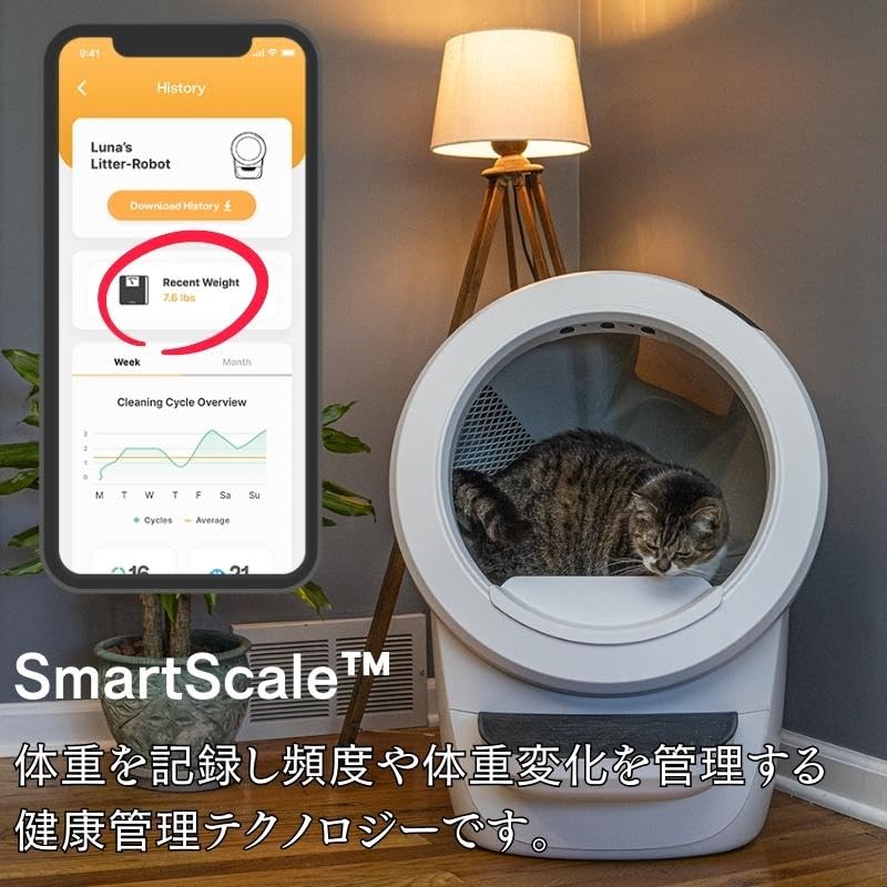 Amazon | 猫 自動トイレ whisker Litter-Robot 4 猫用 全自動トイレ