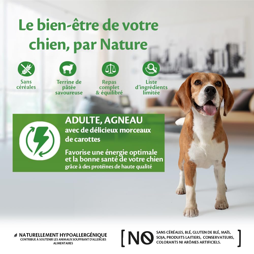 Wellness CORE 95% 6 x 400g, Agneau/Potiron – Pâtée pour Chiens Adultes, sans Céréales, Naturelles, Hypoallergénique, Riche en protéines, À Haute Teneur en Viande,