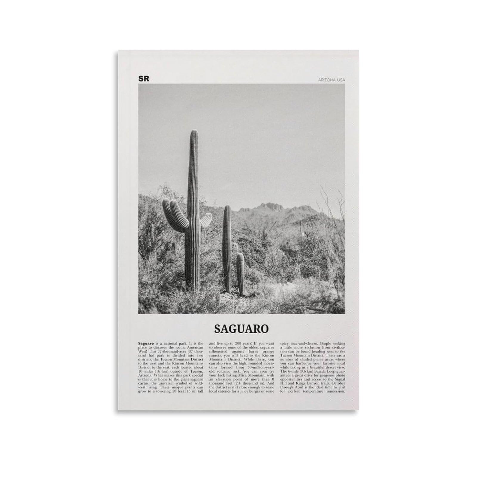 LZTEN Saguaro National Park Print Black And White, Saguaro Wall Art, Saguaro Poster, Saguaro Photo, Arizona, USA, United States, North America Canvas Wall A