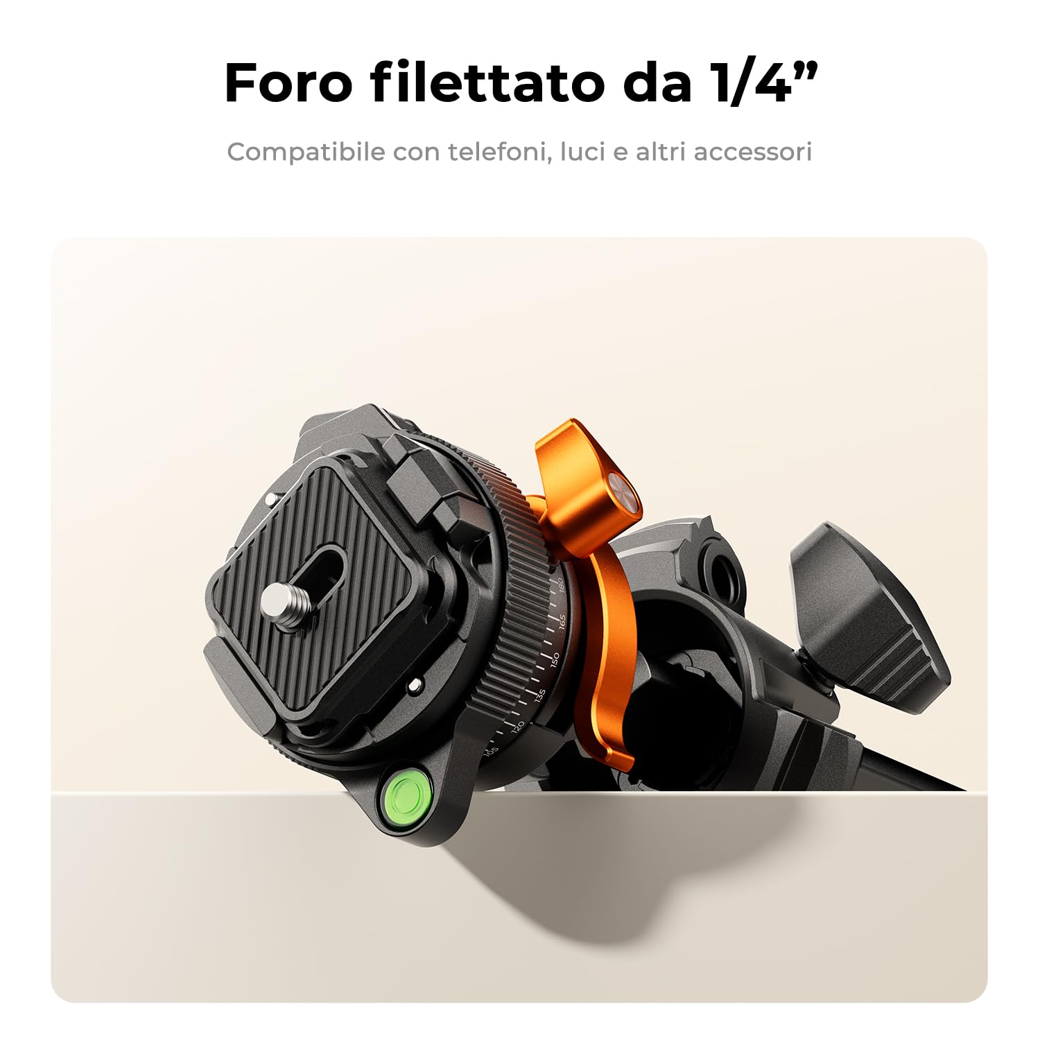 K&F CONCEPT Treppiede Fotocamera in Carbonio 153cm, Cavalletto Fotografico con Testa a Sfera e Arca Swiss, Portata 6kg, Lunghezza Piegata 42cm, Compatibile con Reflex, Mirrorless, Sony, Canon, Nikon