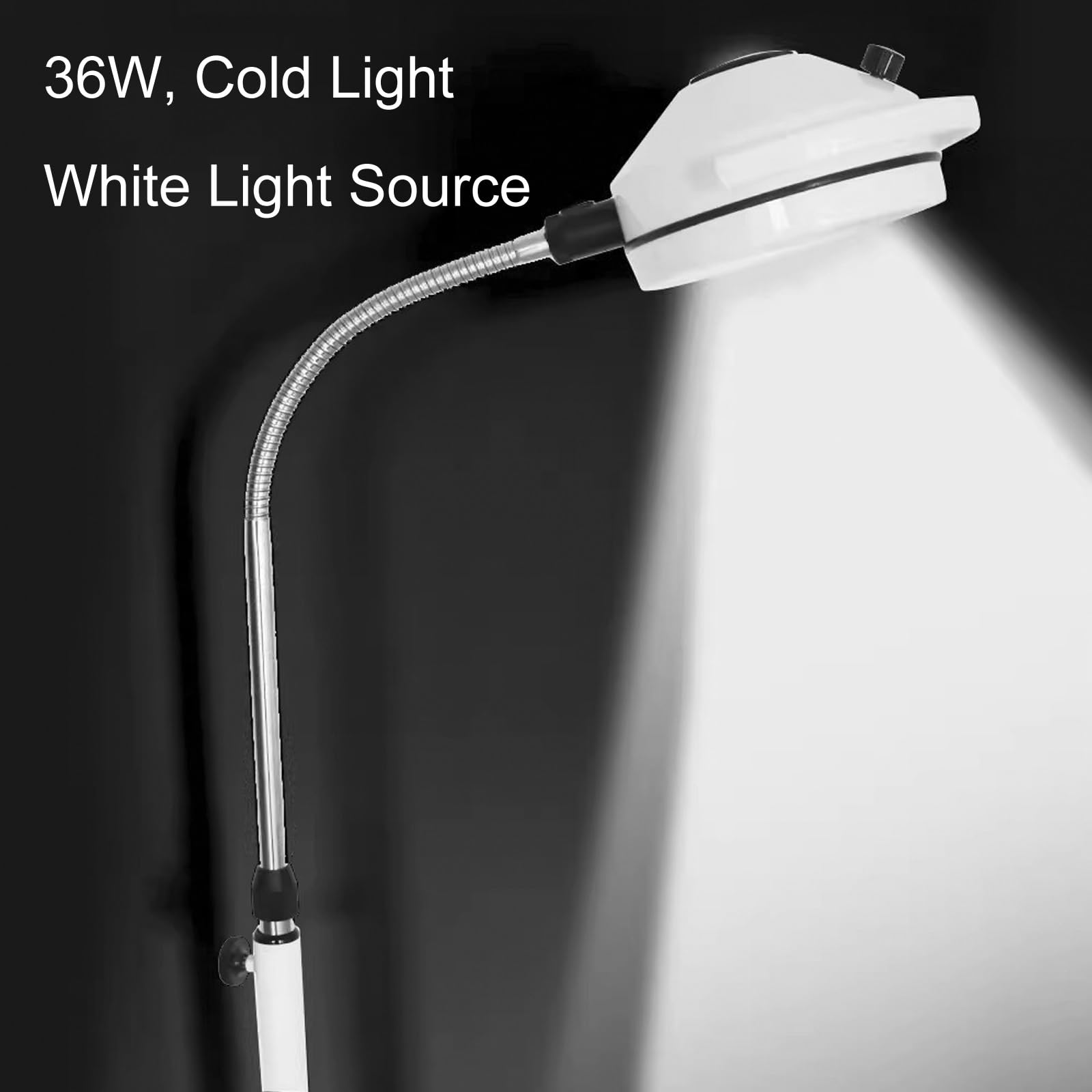Lampa LED operacyjna, 36 W, lampa do badania urody, mobilna lampa dla zwierząt domowych, stosowana w ginekologii, klinikach ambulatoryjnych i dla zwierząt domowych laryngologicznych