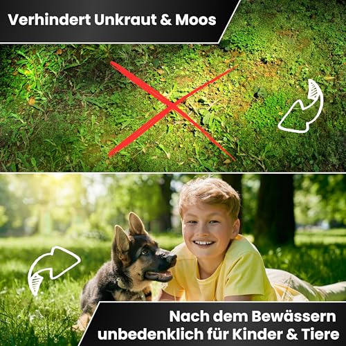 Greenyp Langzeit Rasendünger Frühjahr I 10kg für 300m² I mit Langzeitwirkung & Depotwirkung für Frühjahr bis Spätsommer I verhindert Moosbildung I NPK Dünger Rasen Dünger