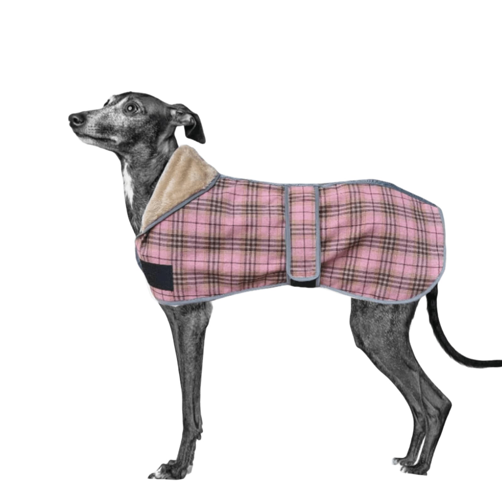 UOSIA Greyhound Winter Dog Coat With Leash Hole Warm Plaid Windproof Reflective Thick Whippet Dog Fleece Jacket Cold Weather Pet Vest Coat Clothes For Medium Large Dogs