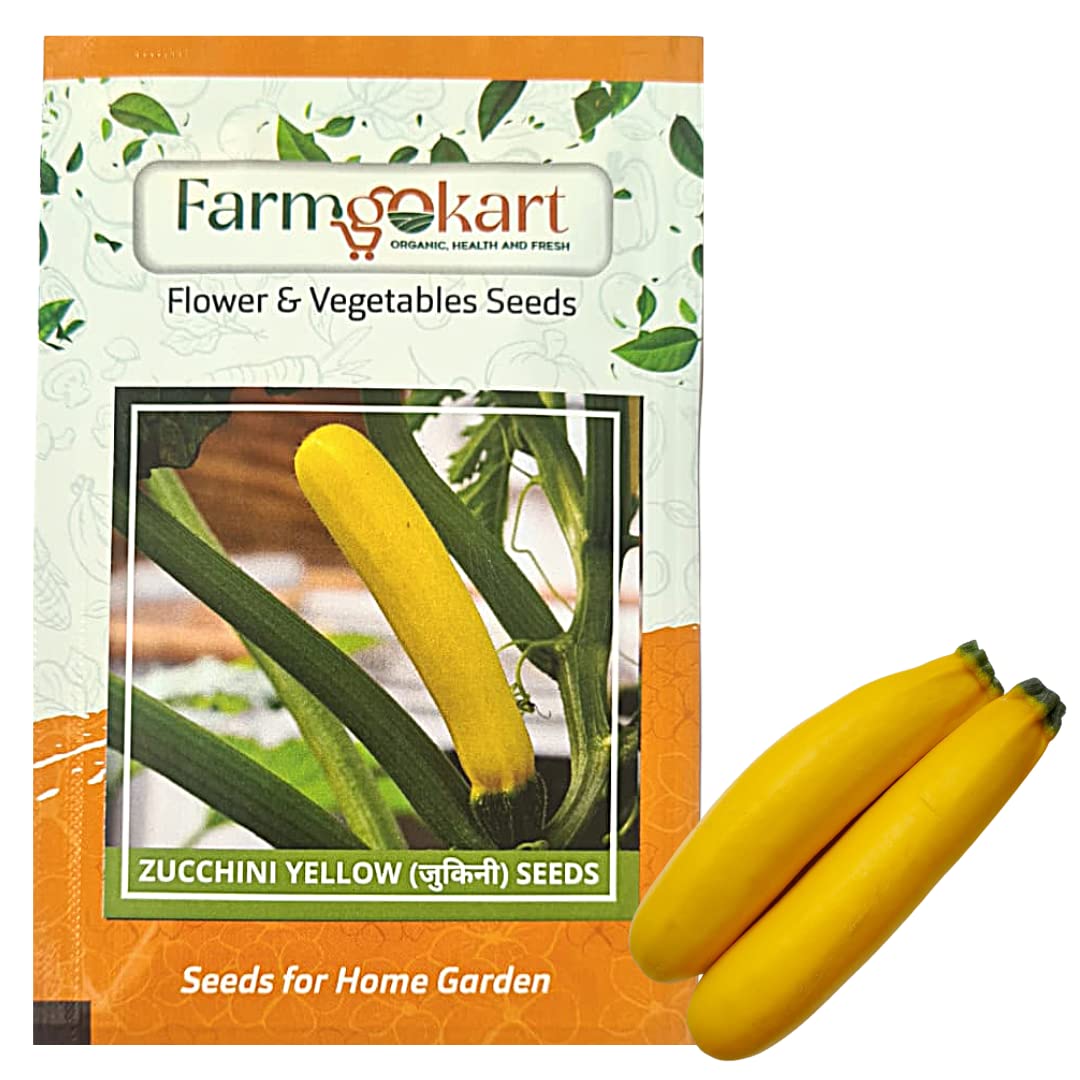 10 Gms of ZUCCHINI -(SUMMER SQUASH) YELLOW VEGETABLE SEEDS | Appx 75 Seeds | High Germination Quality Seeds Pouch | for Home Gardening, Farming, Hydroponics and Poly Houses (B0BSQXGJZC) Amazon Price History, Amazon Price Tracker