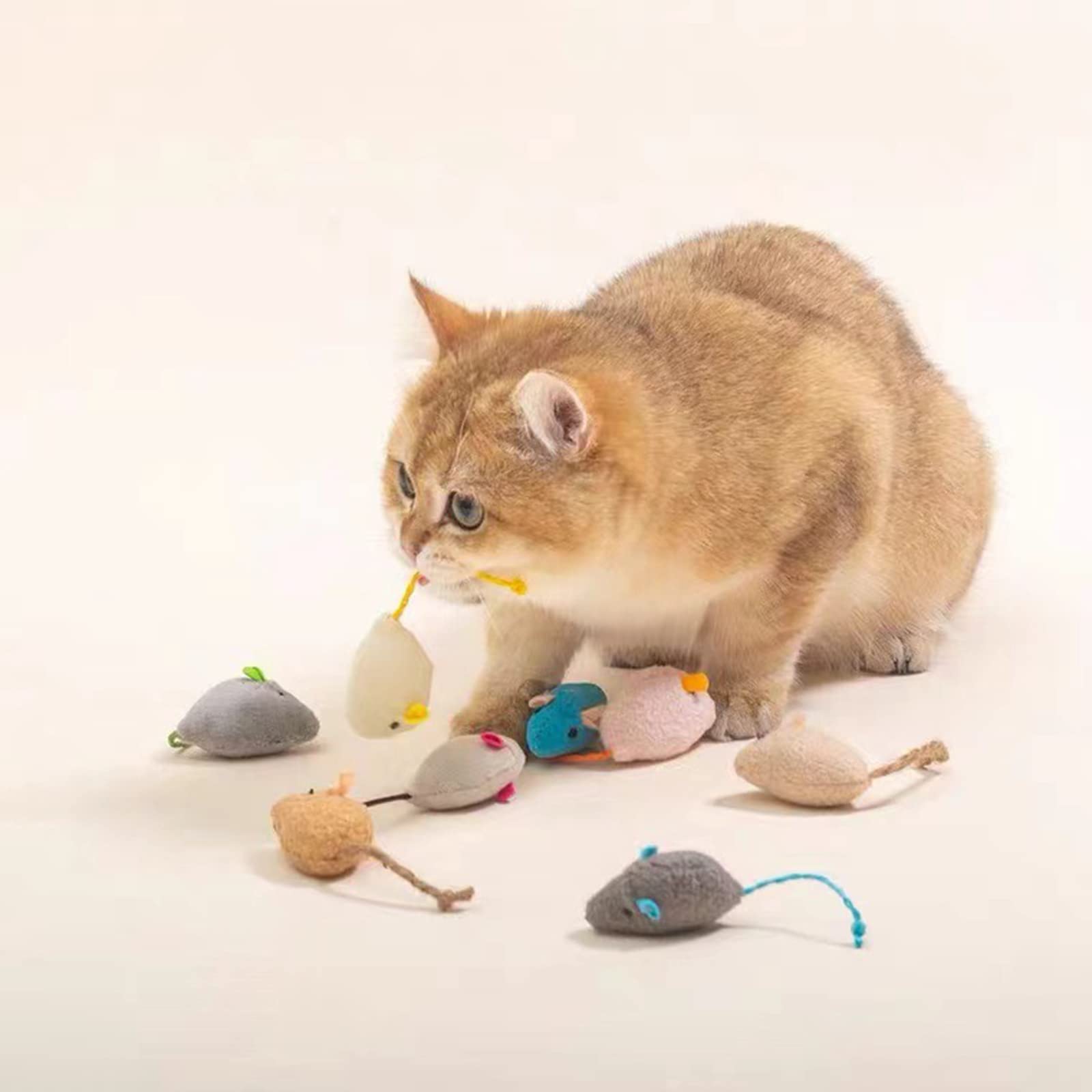 ISMARTEN Katzenminze Spielzeug, Katzen Maus Plüsch Katzenspielzeug, Katzenmäuse & Tiere Spielzeug für Indoor Katzen und Kätzchen, Katze Kauspielzeug für Übung für Haustier Katze Kätzchen Kitty (6