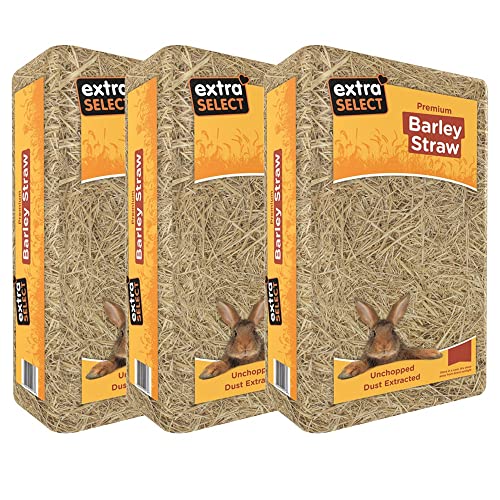 Extra Select Extra Select Gerstenstroh, groß, 3 x 2 kg