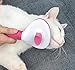 Tailio Dog & Cat Brush, Soft Self Cleaning Slicker Brush, Skin-Friendly Upgraded Dog Brush for Shedding, Massaging, and Grooming – Perfect for Long & Short Coats (Pink)
