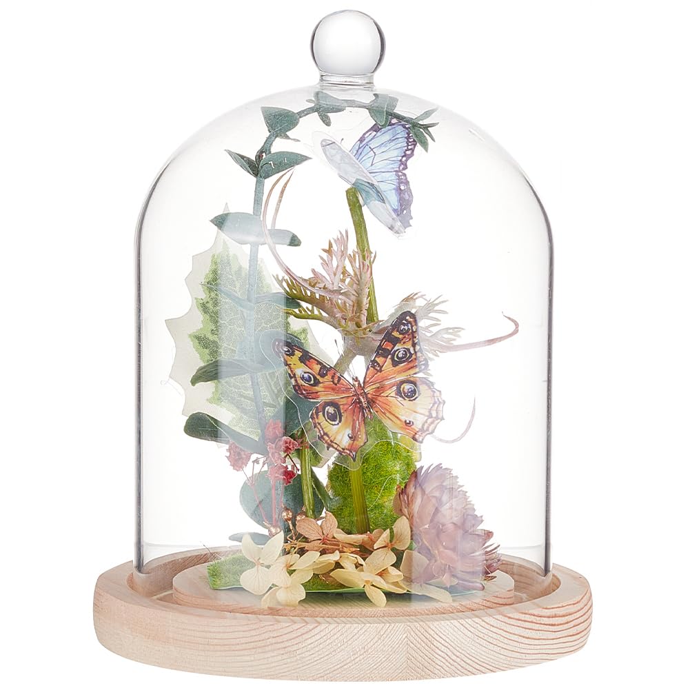 BENECREAT Cúpula de cristal de 140 x 195 mm, campana con mango superior redondo, cubierta de cristal de flores eternas con base de madera para especímenes y plantas, decoración de bricolaje