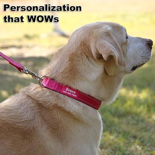 Miniatura 4 de Collares personalizados para perros con nombre de mascota y número de teléfono, collar de nailon reflectante acolchado de neopreno suave, 4 tamaños