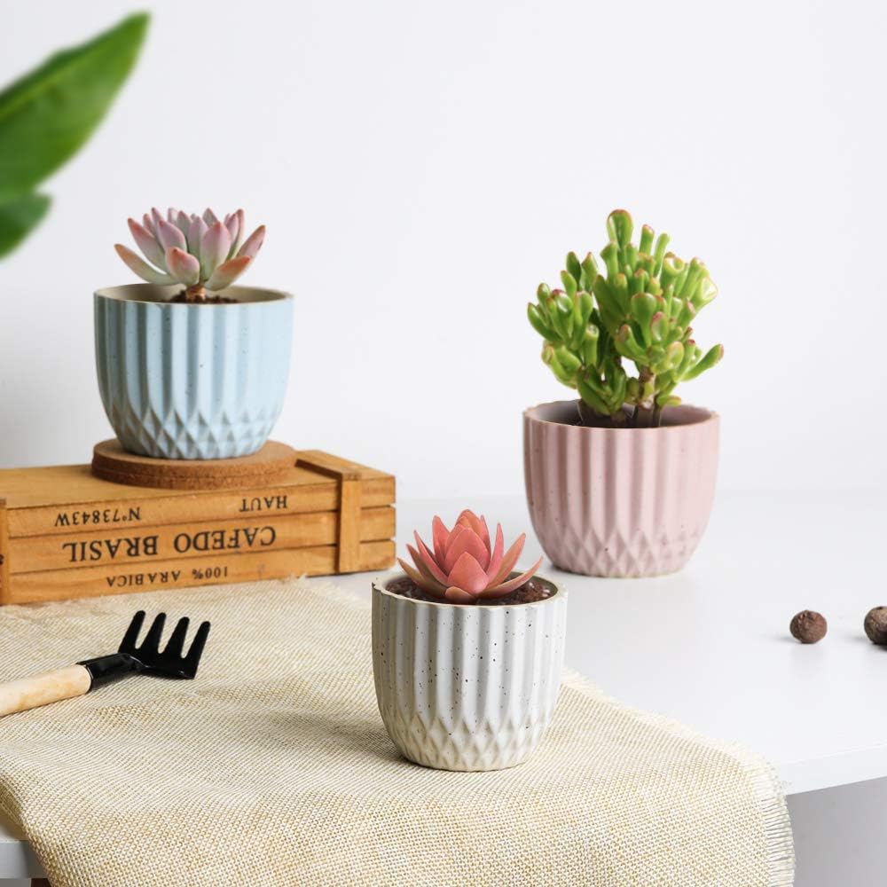 T4U Ceramic Succulent Pot with Tray Different Sizes Set of 6-2.5/3 Inch Small Cactus Plant Planter Stripes Flower Pot with Drainage Hole - Gardening Home Desktop Office Windowsill Decoration Gift