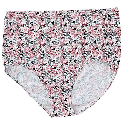 Fruit of the Loom Women's Eversoft Cotton Brief Underwear, Tag Free & Breathable, Available in Plus Size2