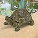 Design Toscano Aesop's Turtle Ornament Garden Tortoise Animal Statue, 10 Inches Wide, Cast Iron, Verdigris Finish