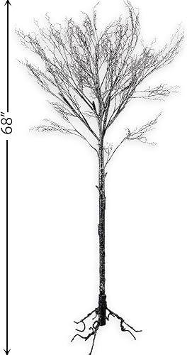 Miniatura 3 de National Tree Company Decoración de árbol artificial, negro, sin hojas, incluye soporte, colección de Halloween, 68 pulgadas