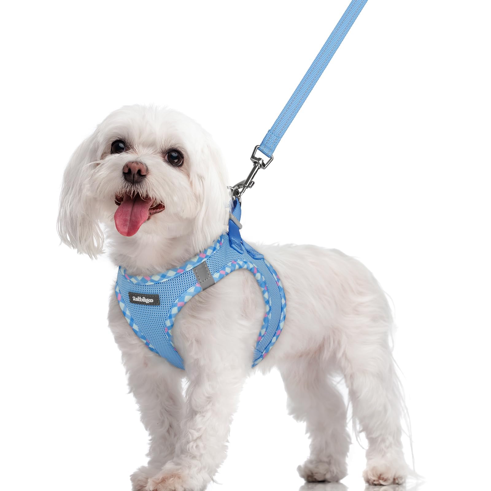 rabbitgoo Dog Harness Small Dog and Leash Set, Step-in Soft Mesh Puppy Harness with Reflective Strips, Lightweight Breathable Pet Vest for Walking Training, Blue & Plaid Trim, M
