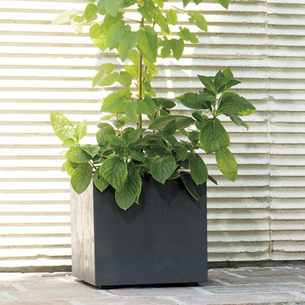 DEROMA Vaso cubo Millenium Antracite 25 x 25 x 25 cm