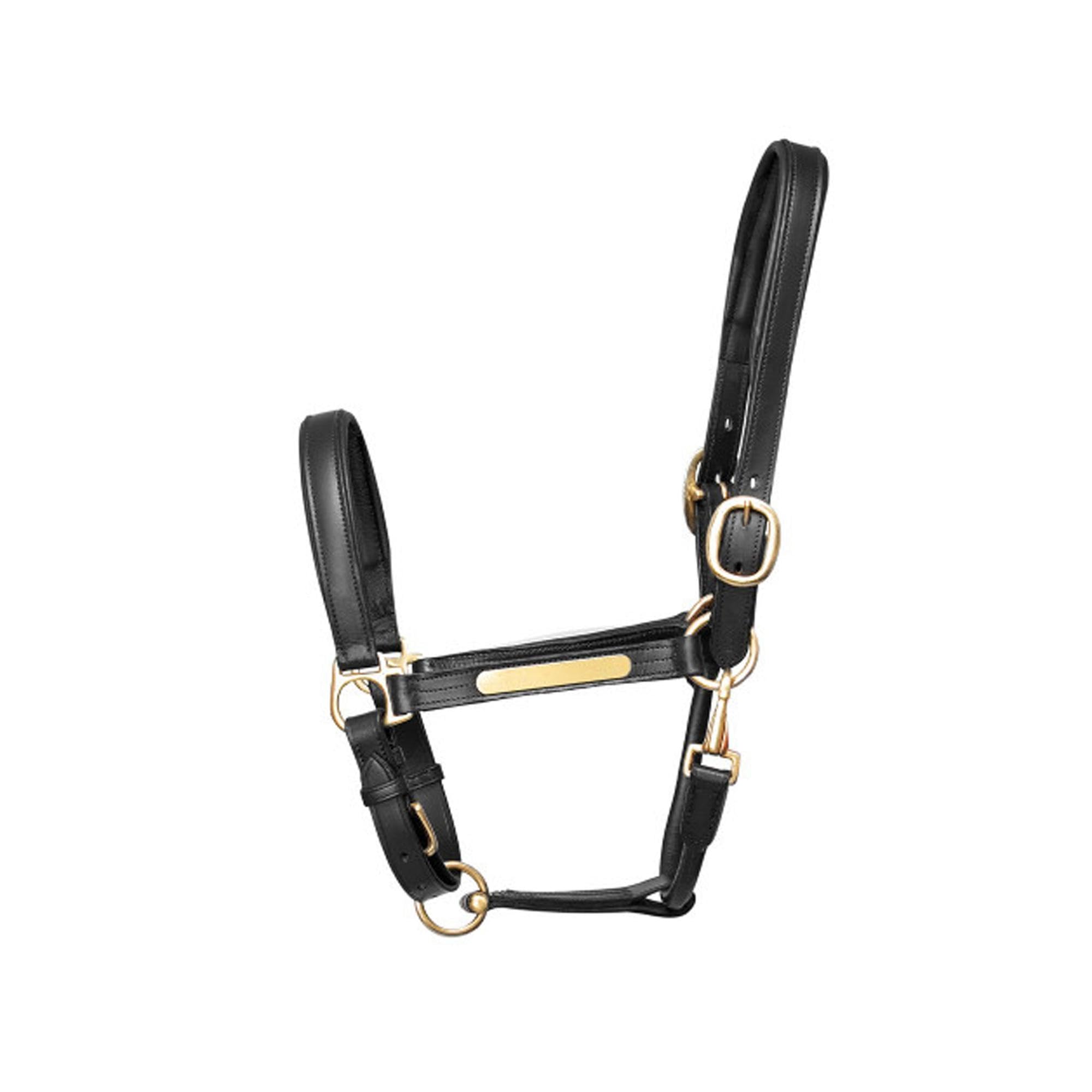 William Hunter Equestrian Hy - Cabezada de piel para caballo negro negro Talla:doble