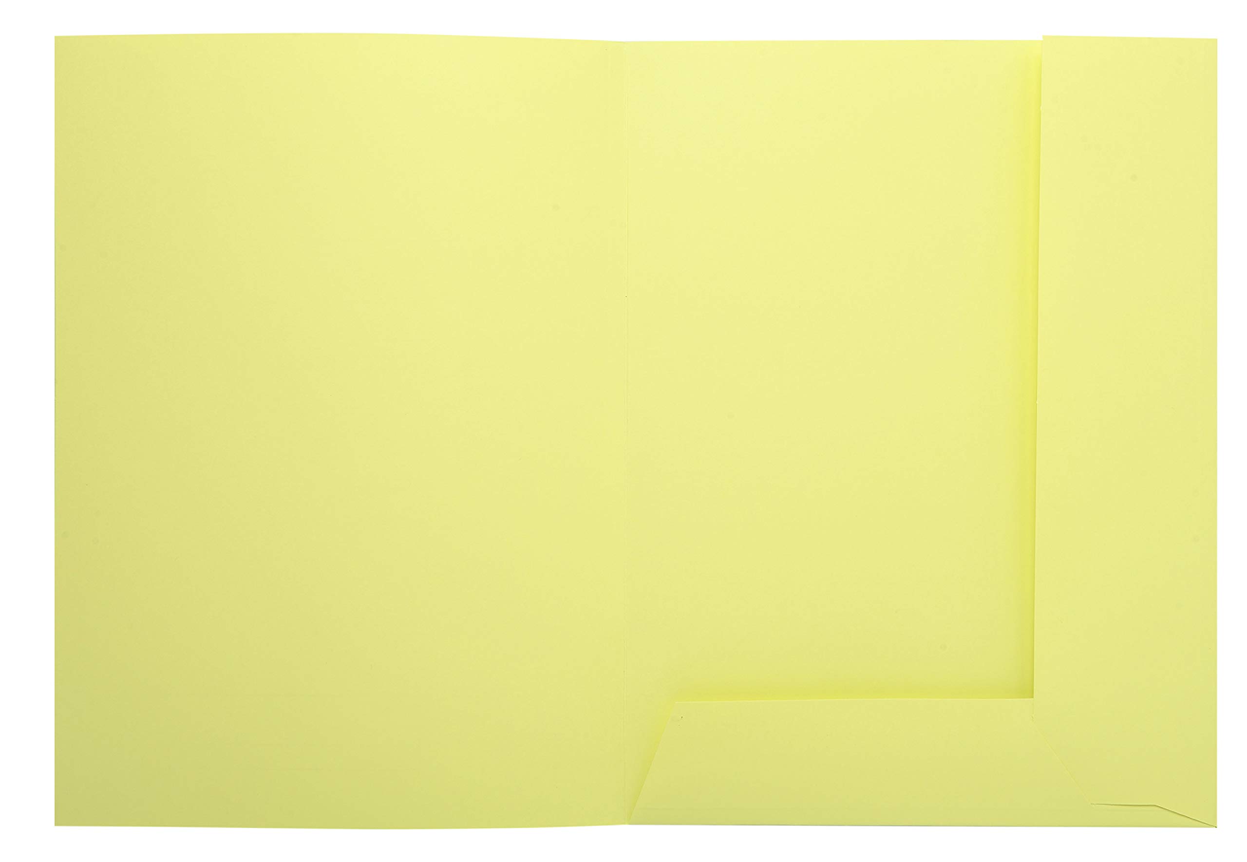 Exacompta 335005E - Lote de 50 Subcarpetas Super 250 Impresas y con 2 Solapas, Color Amarillo