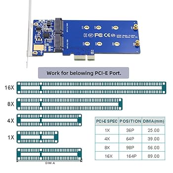 Amazon.com: Cablecc NGFF Key B+M Dual SATA SSD to PCI-E 1x