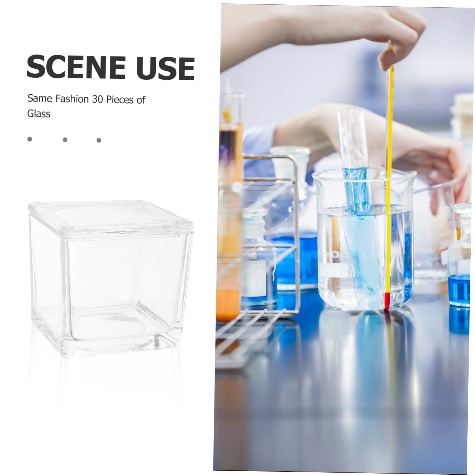 Cuve de Coloration pour Lames de Microscope en Verre Ronde