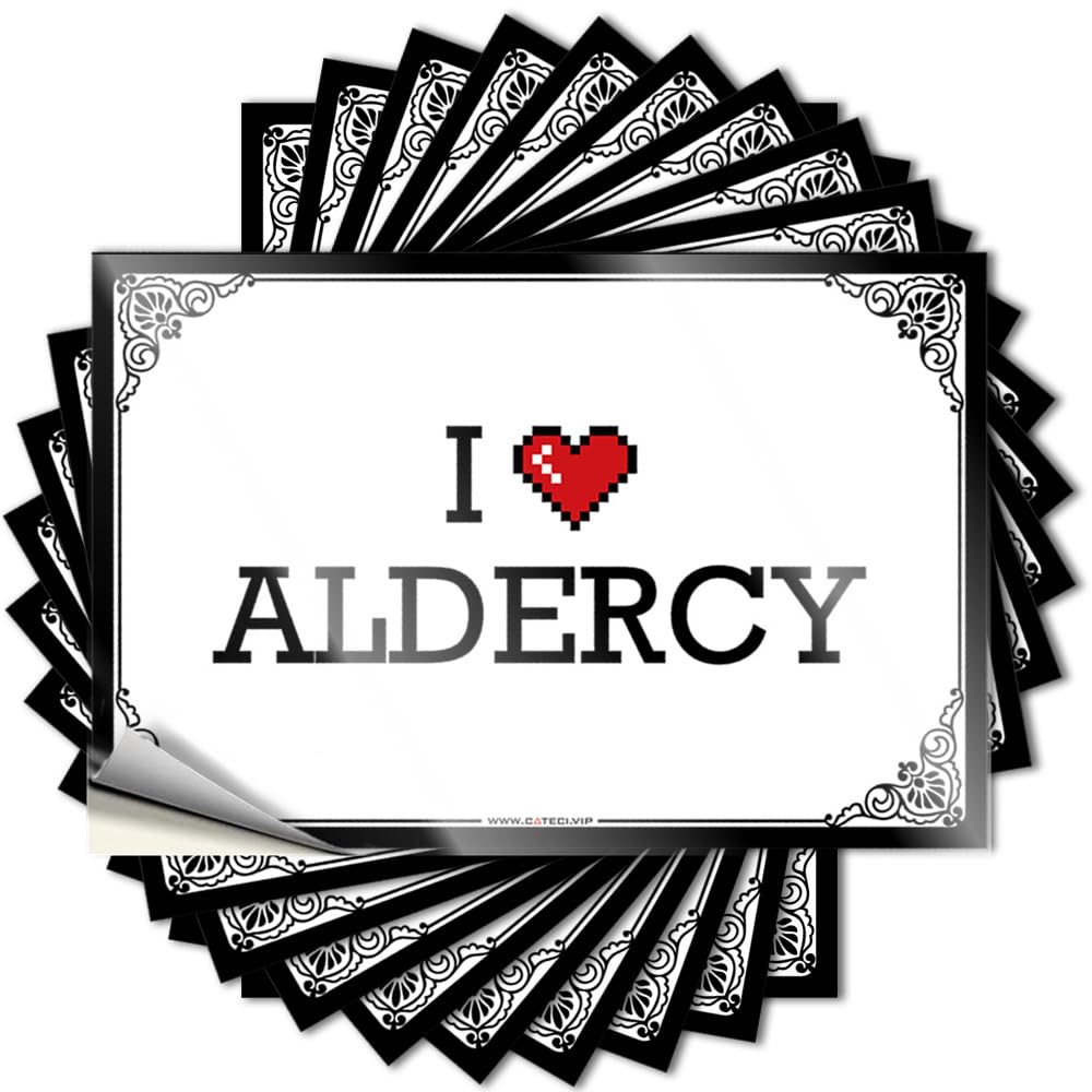 I Love Aldercy Funny Desk Decor Double DIY | Aesthetic Lettering Sticker Laptop Removable Vinyl Sticker Decal(12X18CM)
