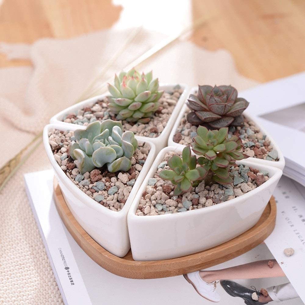 Macetas pequeñas de cerámica para plantas crasas con soporte de bambú moderno