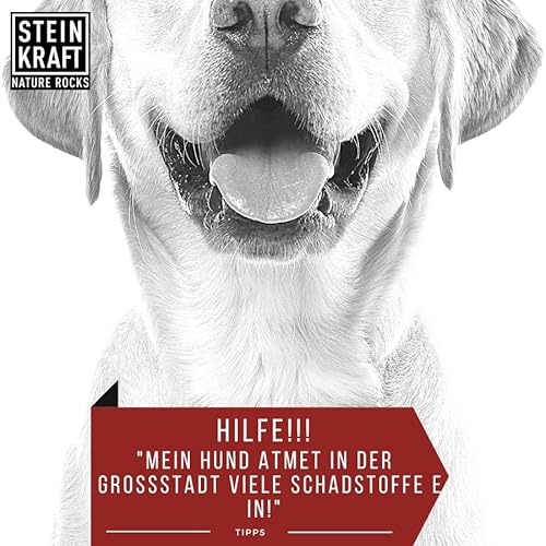 STEINKRAFT ZEOLITH Pulver für Hunde, 250g, 14 μm, Klinoptilolith Anteil hoch, unterstützt Futterverwertung, Knochenaufbau, Fellwechsel
