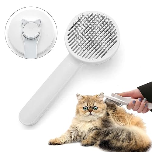 11 Best Brush For Jack Russell In 2023 [Latest Updated]