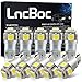 LncBoc Bombillas LED T10 W5W LED Coche 5SMD 5050LED 501 2825 175 192 168 194 Wedge Lampara para Coches 6500K Xenón Blanco de Interior y Exterior 12V Paquete de 10