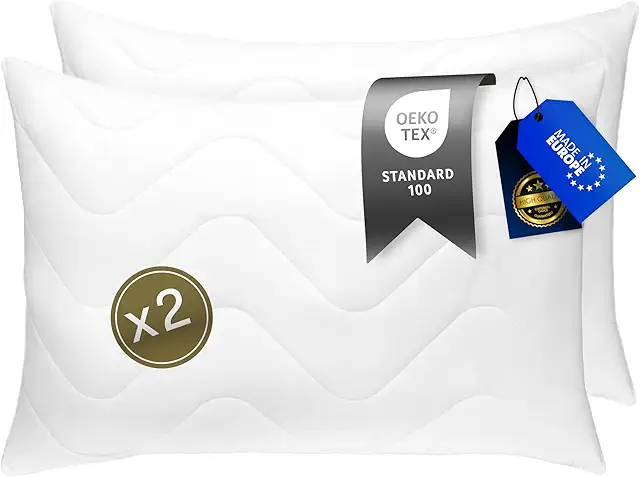 Oreiller 50x70 Lot de 2 - Hypoallergénique, Ergonomique, Lavable 95°C