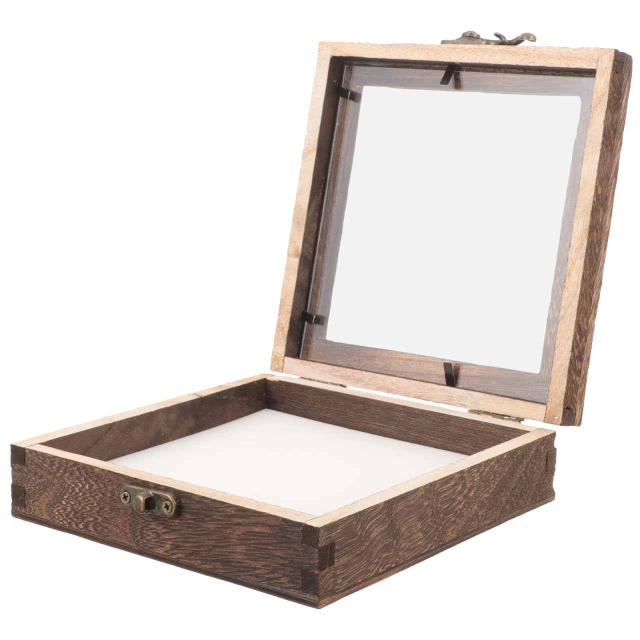 iplusmile 1 Satz Insektenprobenbehälter aus Glas Insekten-Schaukasten Sammlerbox für Insekten Vitrine für Schattenbox Holzrahmen Felsen Ausstellungsregale Schmetterlinge Vitrine 15 x 15 x 4,5 cm