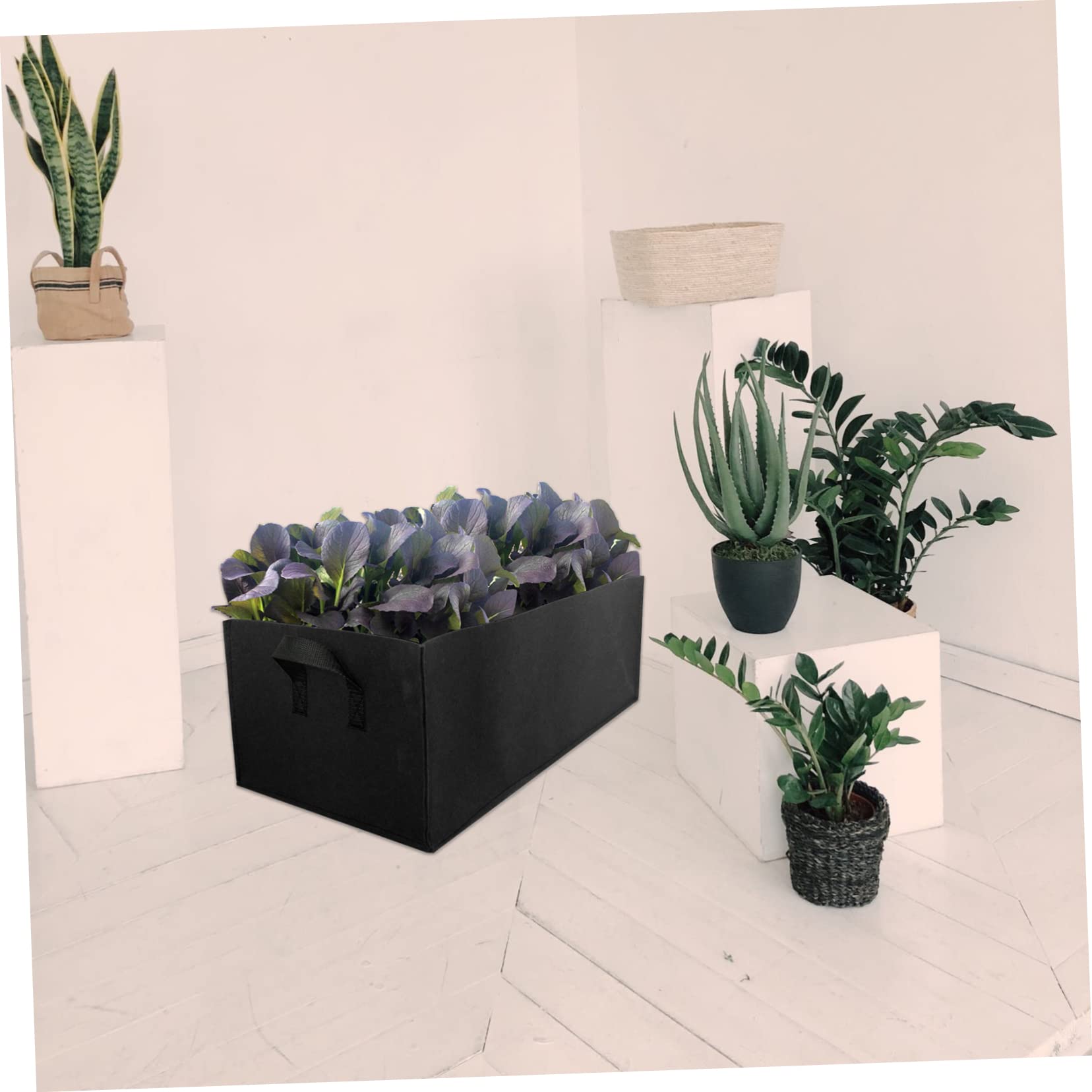 Toddmomy 6stücke Quadratische Pflanzsäcke Vliesstoff Für Und Blumen Mittelgroße Wiederverwendbare Pflanzbeutel Schwarz Für Balkon Und Garten