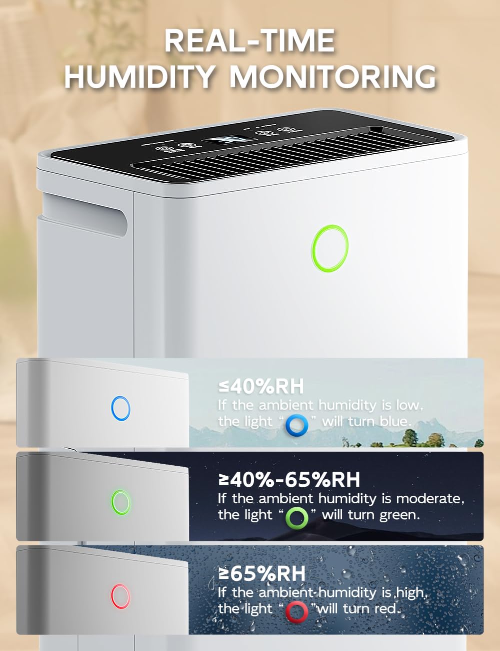 Deumidificatore Casa Muffa 12L/24H, Deumidificatore Portatile e Silenzioso per Camera da Letto, Bagno, Armadio, Controllo Umidità Automatico, Funzione Asciugabiancheria, Timer 24H, Scarico Continuo