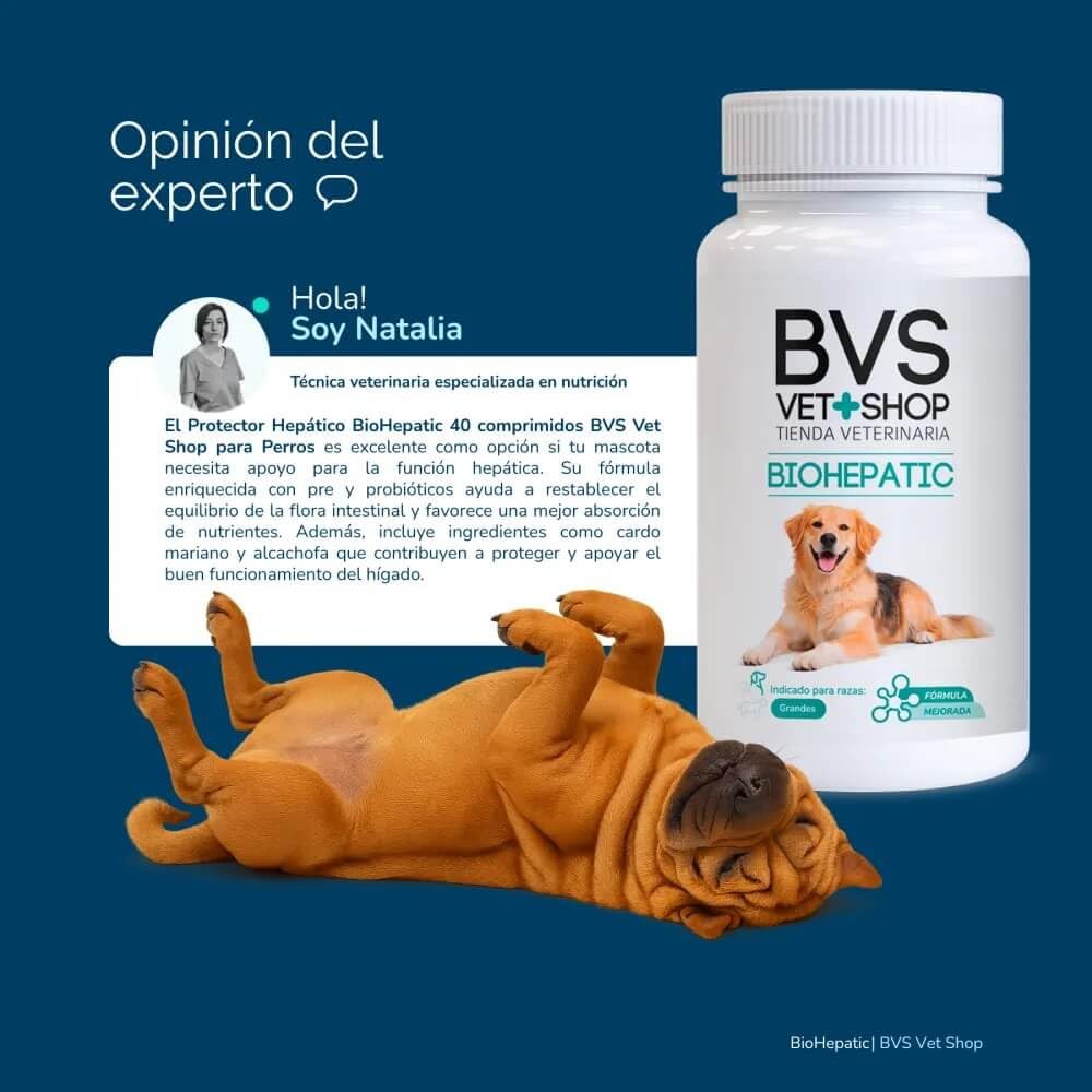 BVS Vet Shop | BioHepatic 40 Comprimidos para Perros | para la reducción de trastornos de la absorción intestinal, hepáticos, renales y cardiacos | Razas Pequeñas