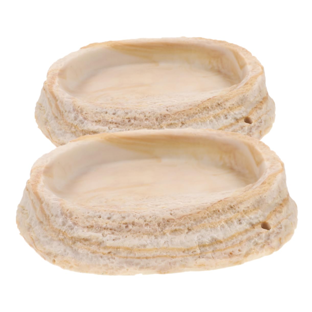 Bol eau pour reptiles pour décor naturel de lézard et tortue