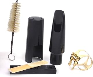 Tenor Saxophone Sax Mouthpiece + Cleaning Kit