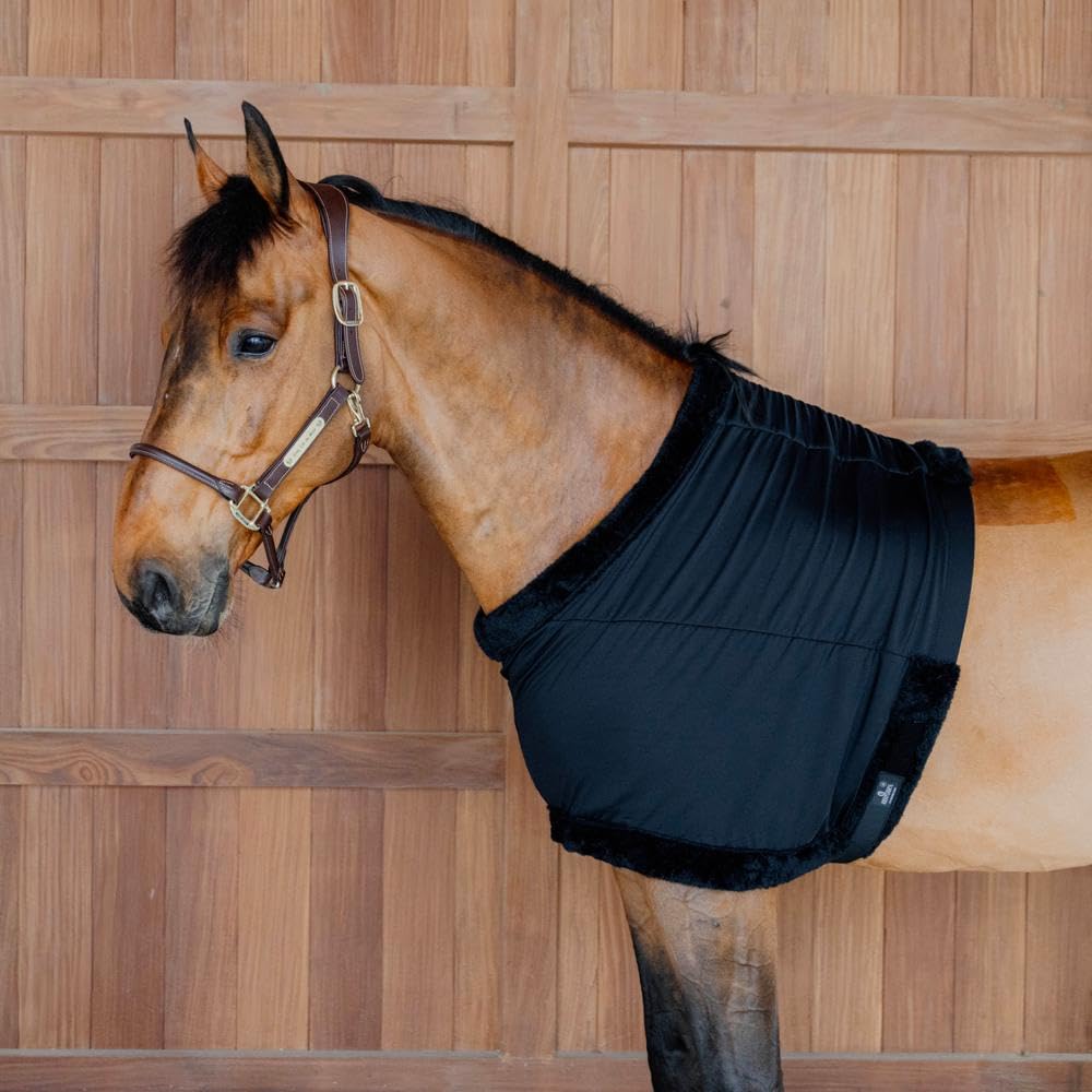 Kentucky - Brustschutz schwarz Size M