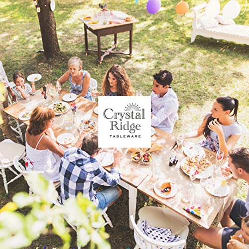 Crystal Ridge Tableware 64-Piece Plastic Plates Set - Premium 32 Dinner Plates & 32 Salad Plates Pack, Disposable Plates For Party, Elegant Party Plates - White Plastic Wedding Plates With Silver Rim #TOP6