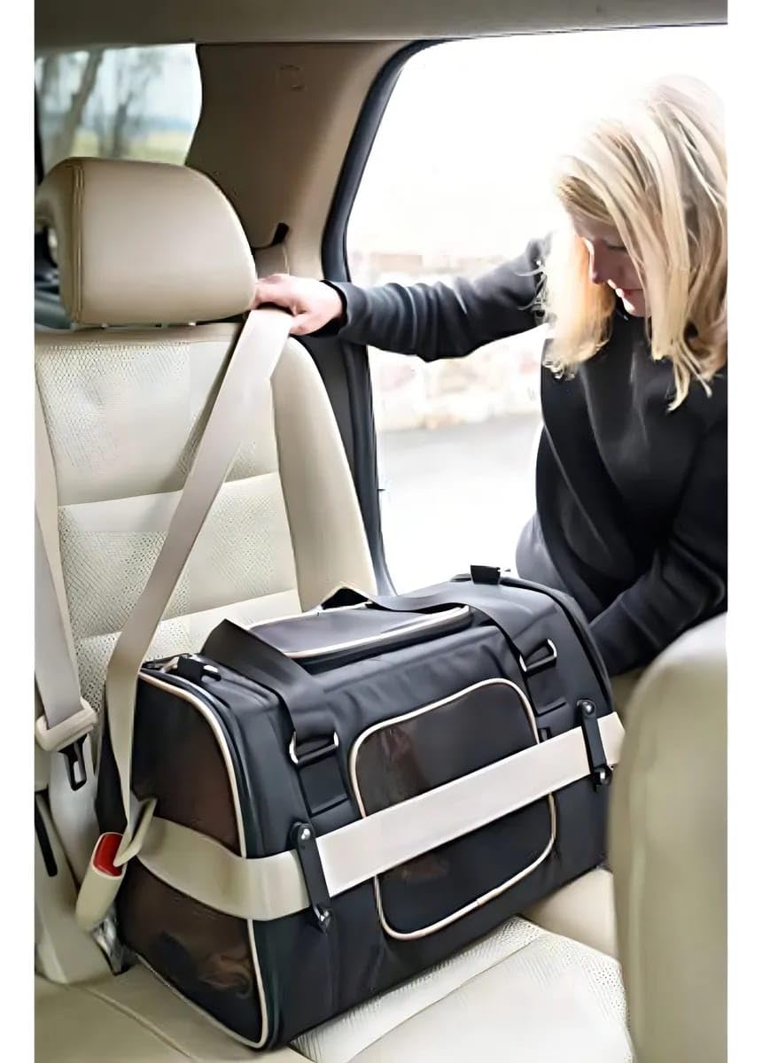 Amazon.com: Gen7Pets Commuter Buckle In Car Safety Seat and