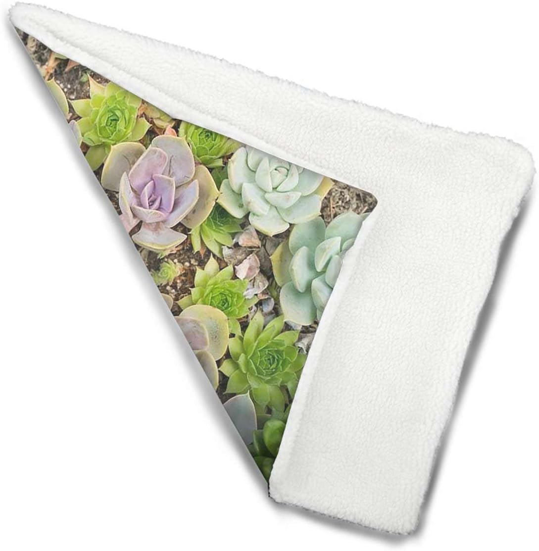 review Green Thermal Pet Mat Bed Liner Cute Succulents Flower Desert Soft Flannel Thickened Pet Soft Fleece Pad Pet Bed Mat Hot Plant Artwork 18