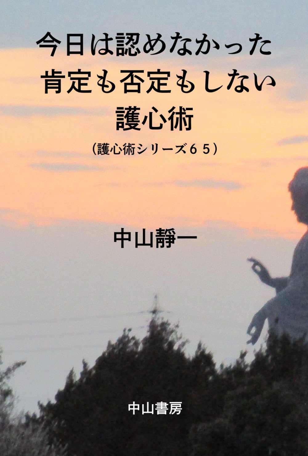 今日は、認めなかった: 肯定も否定もしない護心術