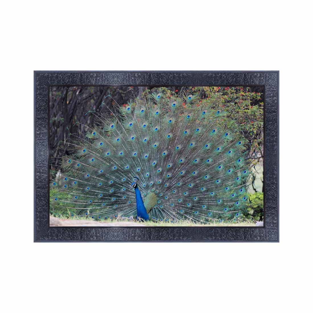 pnf Poster And Frames Peacock Wall Painting With Acrylic Sheet | For Living Room, Bedroom | Home Decoration Item | Best Gifting Option (10 * 14inch,Multicolour,Synthetic) 19669